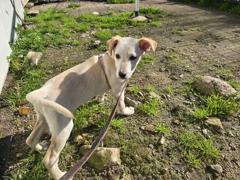 Festa: Hallo, hier bin ich!