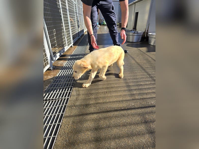 Naira und Norma - vom Flughafen ins schöne Leben