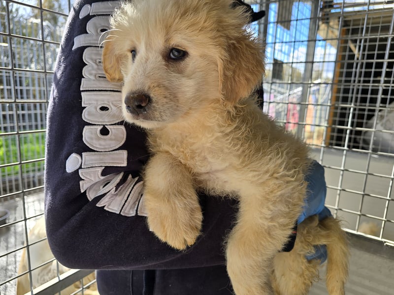 Naira und Norma - vom Flughafen ins schöne Leben