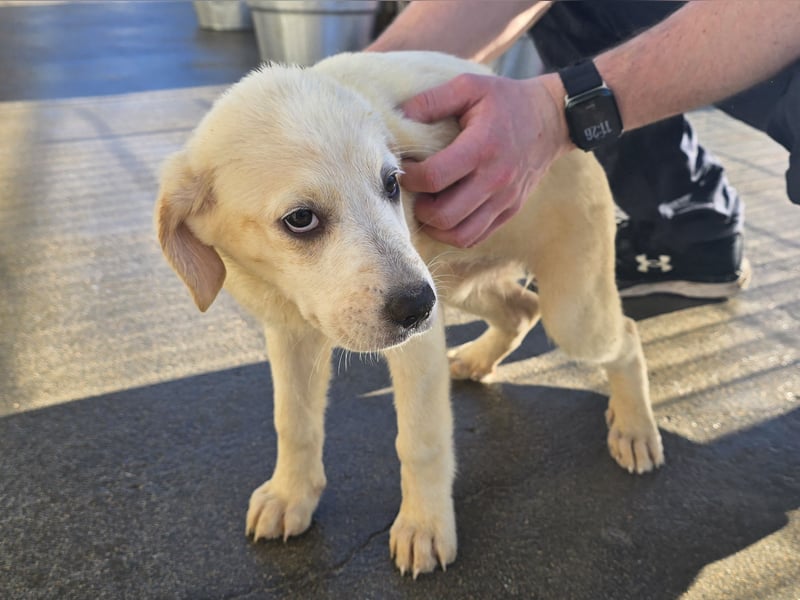 Naira und Norma - vom Flughafen ins schöne Leben