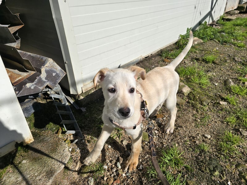 Festa: Hallo, hier bin ich!