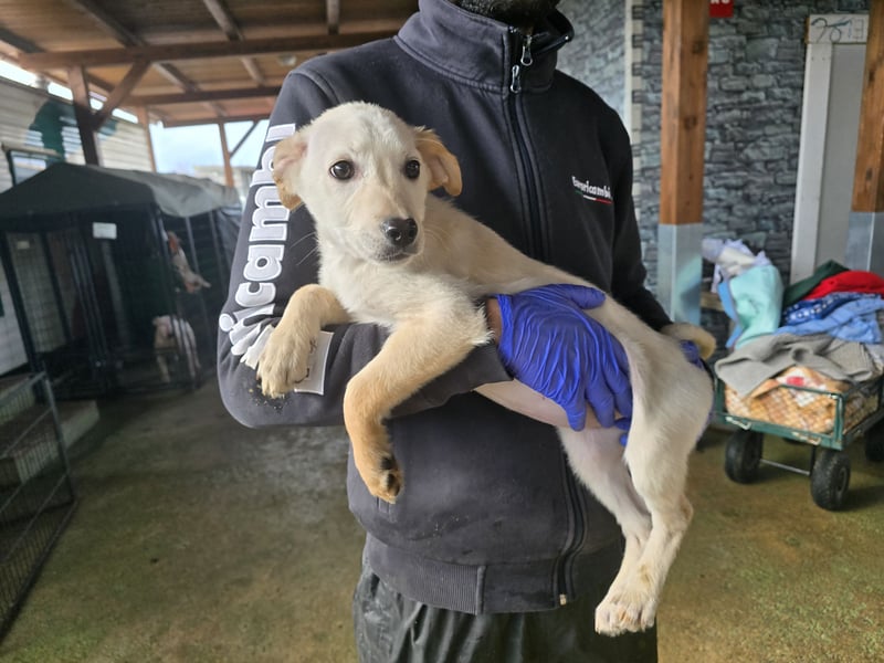 Festa: Hallo, hier bin ich!