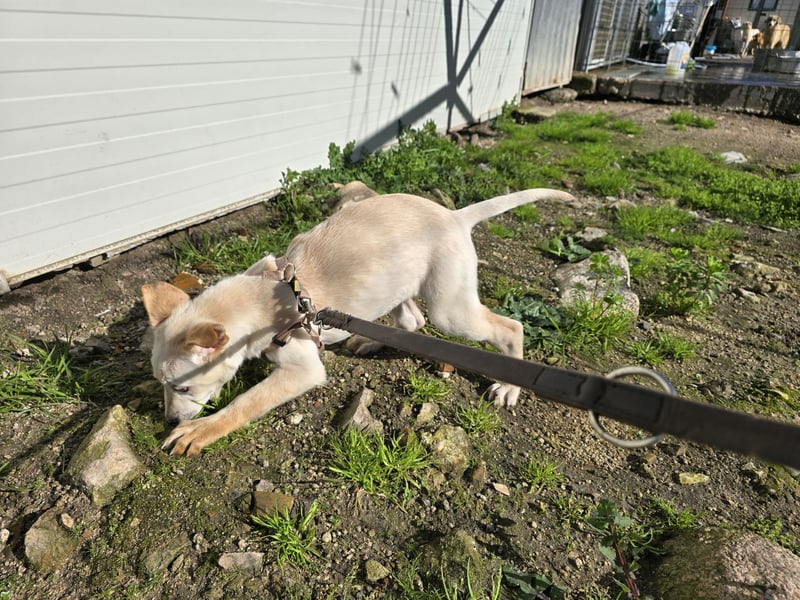 Festa: Hallo, hier bin ich!