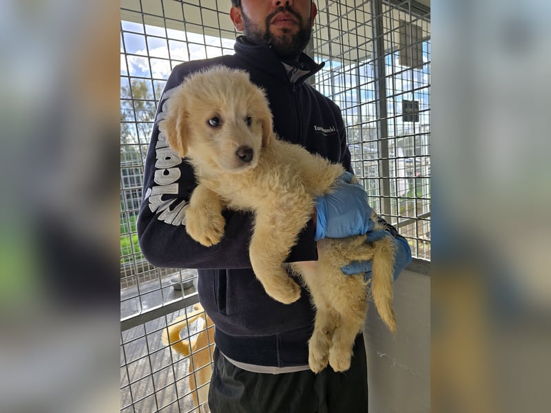 Naira und Norma - vom Flughafen ins schöne Leben