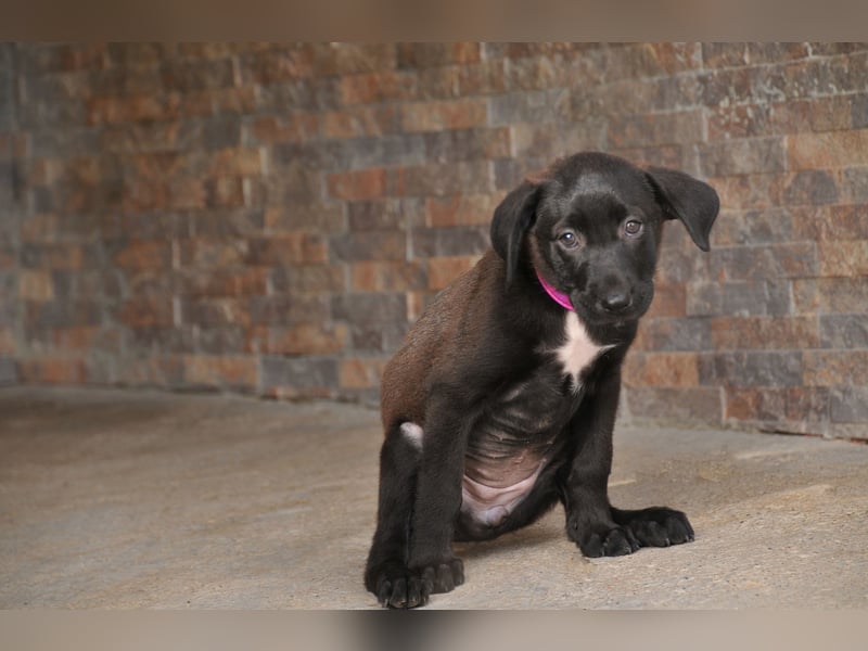 Wer möchte Lhaura zeigen, dass das schönste Abenteuer erst beginnt?