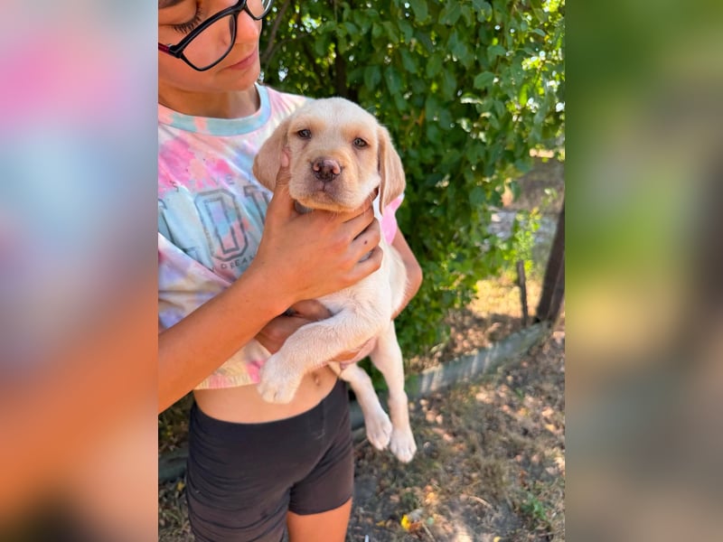 Sonny, geboren 14.05.2026, 28cm sucht seine Chance