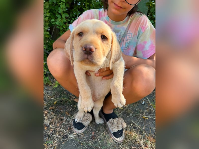 Sonny, geboren 14.05.2026, 28cm sucht seine Chance