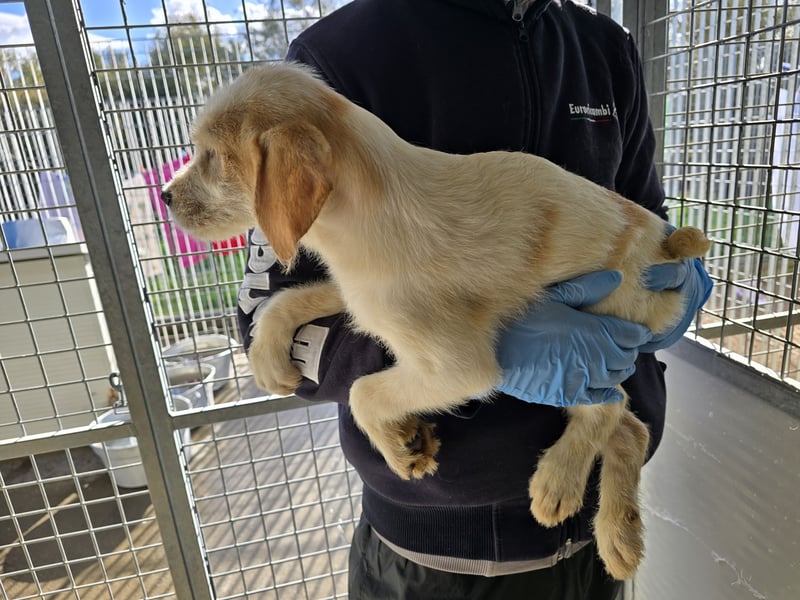 Nelson: vom Flughafen ins schöne Leben