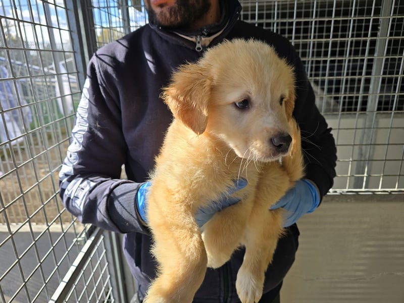 Nelson: vom Flughafen ins schöne Leben