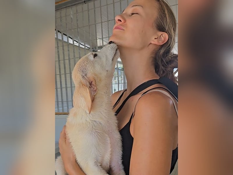 Polly: wird mein Leben bunt und schön?