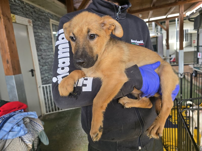 Fritz: er liebt das Leben