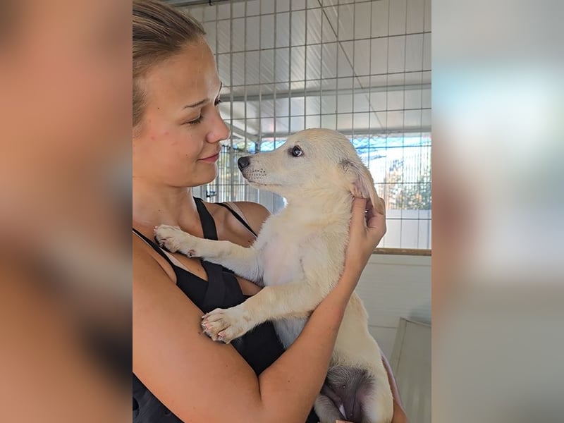 Panda: wird mein Leben bunt und schön?
