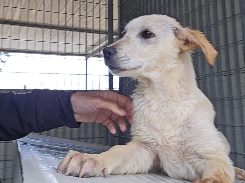 Fiamma: Hallo, hier bin ich!