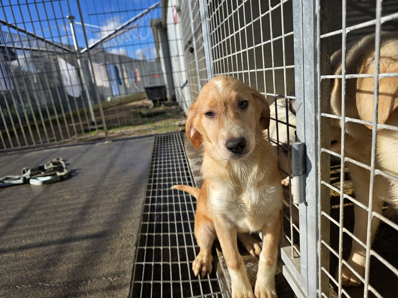 Nele und Noura: vom Flughafen ins schöne Leben