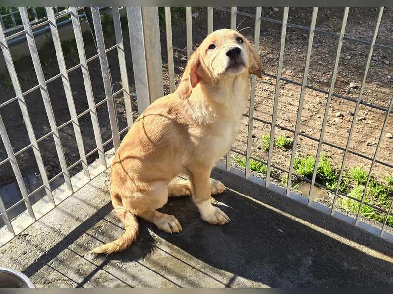 Nele und Noura: vom Flughafen ins schöne Leben