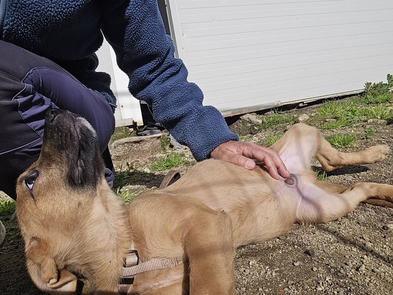 Fritz: er liebt das Leben