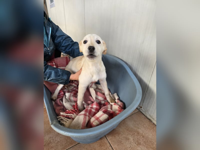 Fiamma: Hallo, hier bin ich!