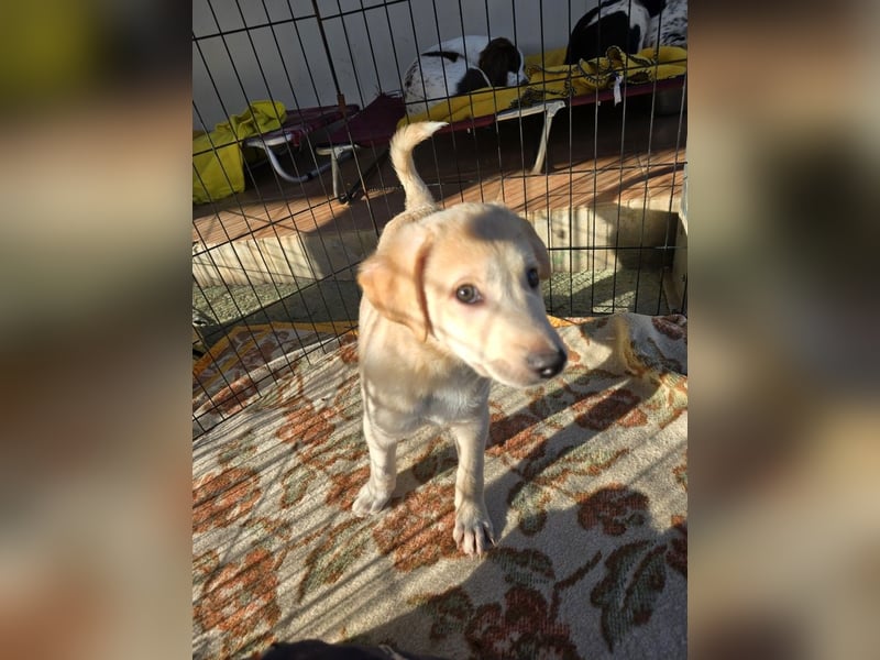 Emanuela: Spaß und gute Laune garantiert