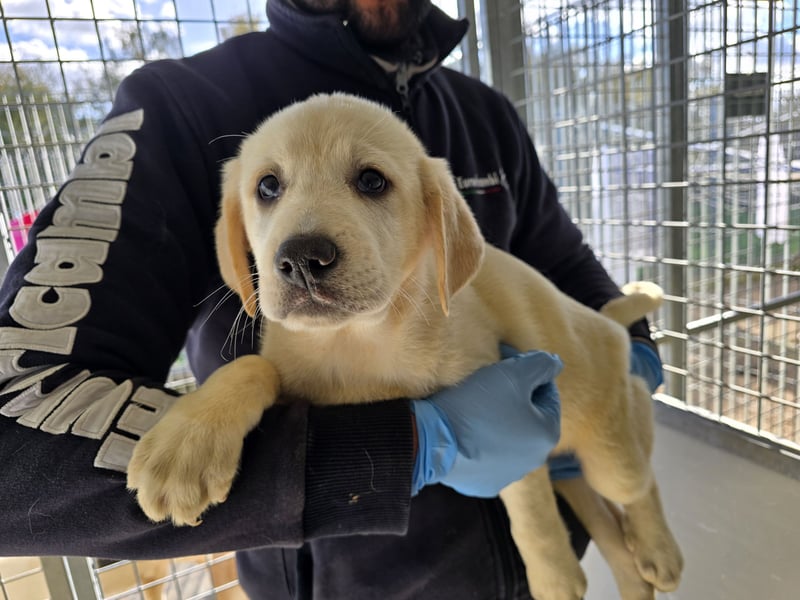 Nelson: vom Flughafen ins schöne Leben