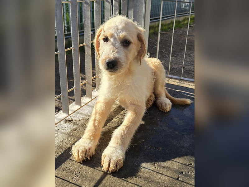 Nele und Noura: vom Flughafen ins schöne Leben