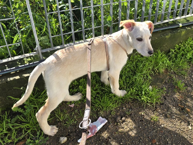 Fiamma: Hallo, hier bin ich!