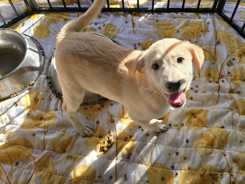 Emanuela: Spaß und gute Laune garantiert