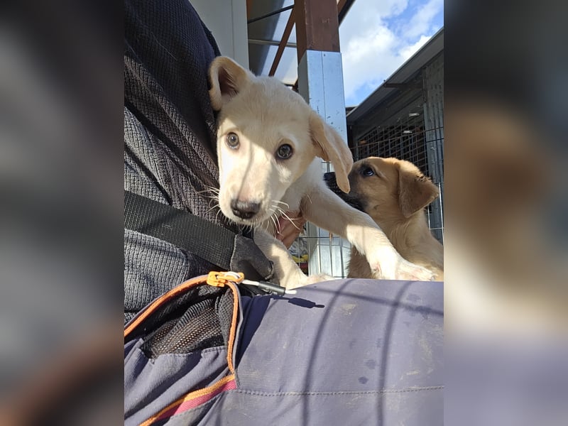 Emanuela: Spaß und gute Laune garantiert