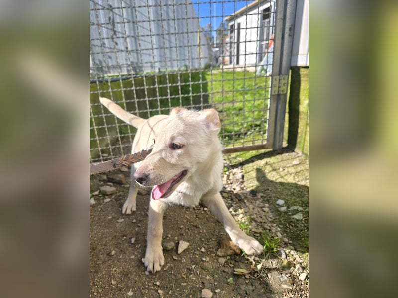 Fiamma: Hallo, hier bin ich!