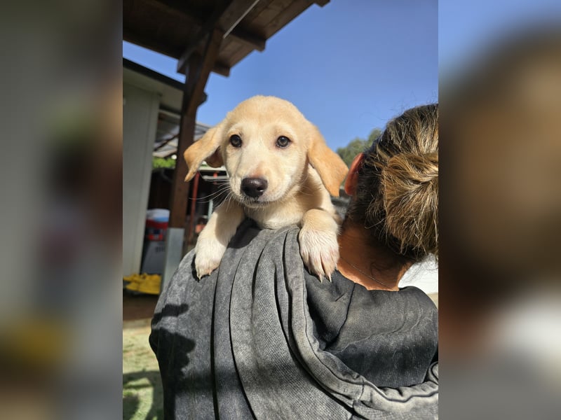 Emanuela: Spaß und gute Laune garantiert