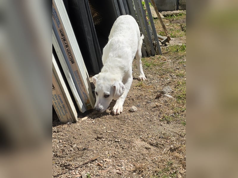 Lea: wer öffnet mir die Tür?