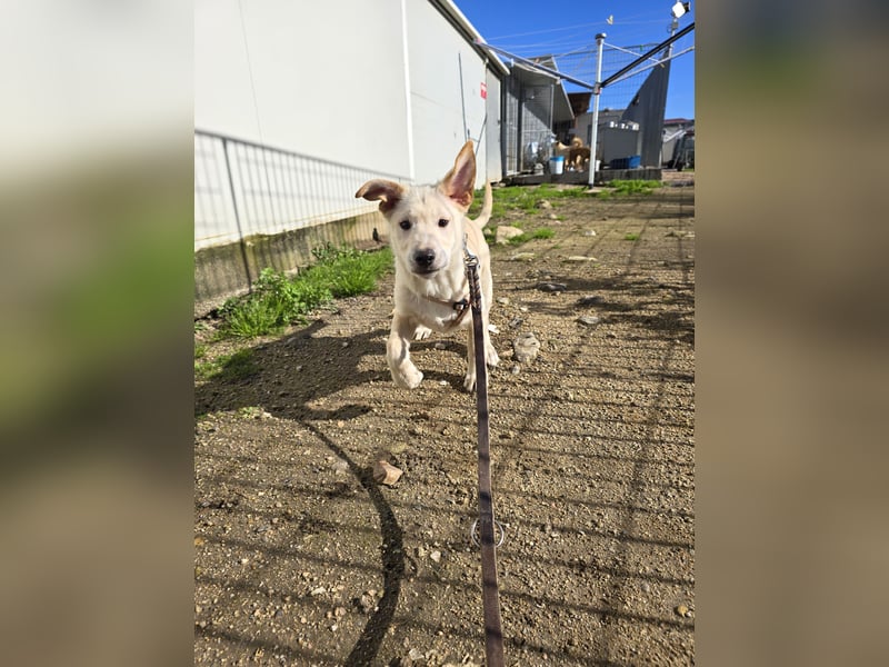 Fidor: Hallo, hier bin ich!