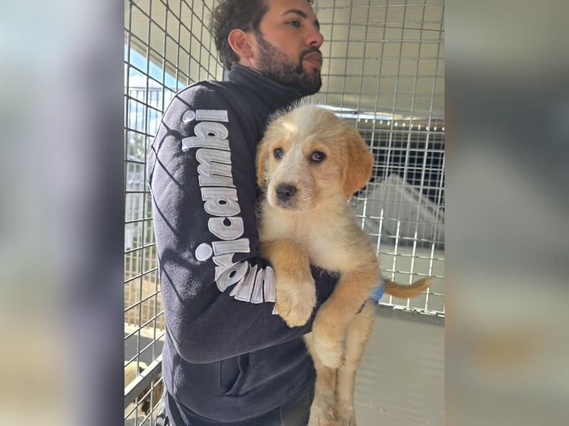 Nele und Noura: vom Flughafen ins schöne Leben