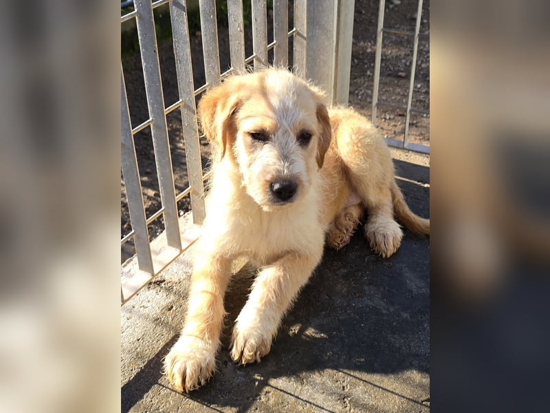 Nele und Noura: vom Flughafen ins schöne Leben