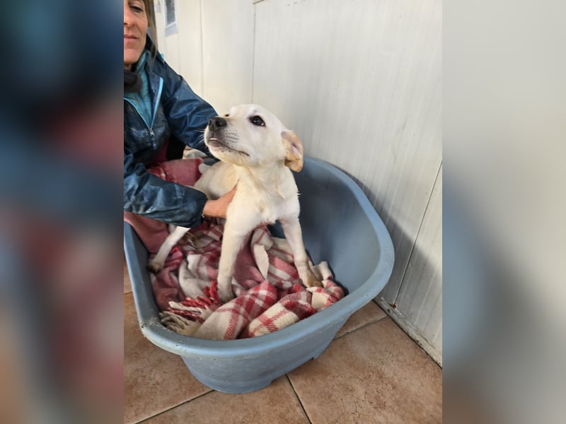 Fiamma: Hallo, hier bin ich!