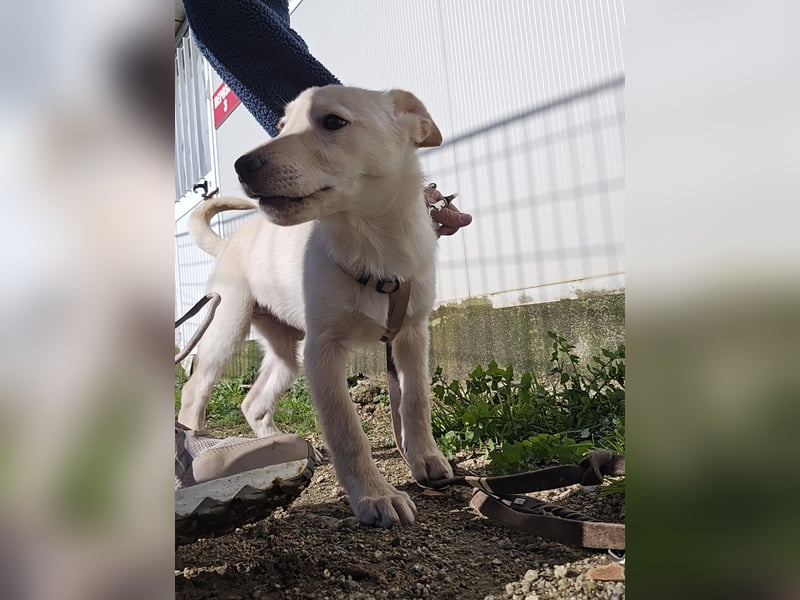 Fiamma: Hallo, hier bin ich!