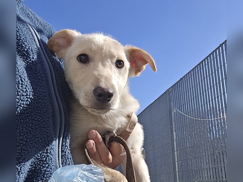 Fiamma: Hallo, hier bin ich!