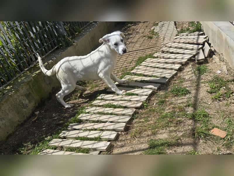 Lea: wer öffnet mir die Tür?