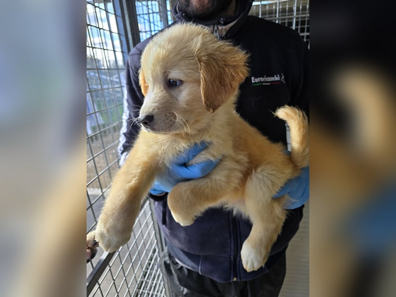 Nelson: vom Flughafen ins schöne Leben