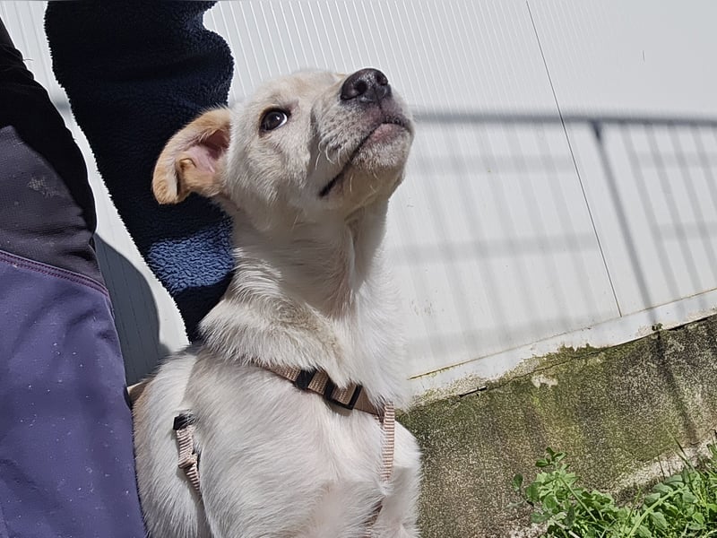 Fiamma: Hallo, hier bin ich!