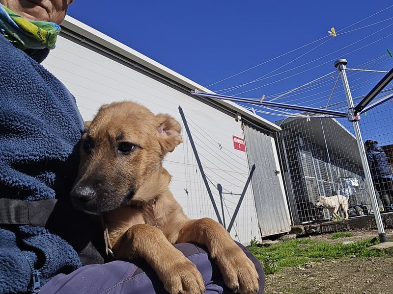 Fritz: er liebt das Leben