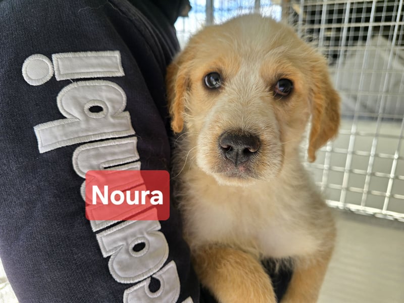 Nele und Noura: vom Flughafen ins schöne Leben