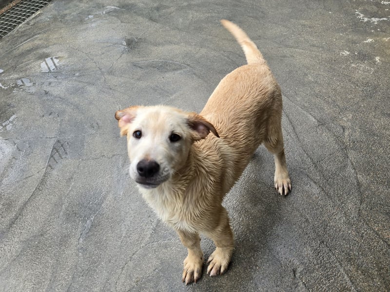 Fidor: Hallo, hier bin ich!