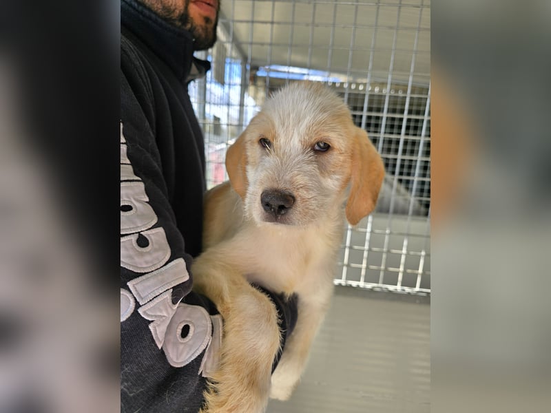 Nelson: vom Flughafen ins schöne Leben