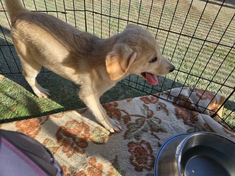 Emanuela: Spaß und gute Laune garantiert