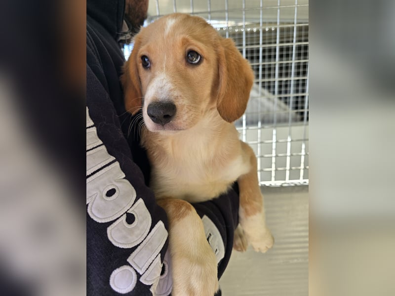 Nele und Noura: vom Flughafen ins schöne Leben