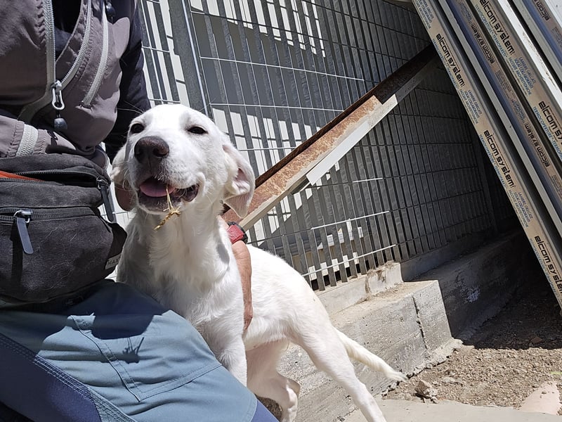 Lea: wer öffnet mir die Tür?