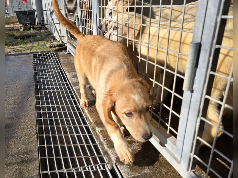 Nele und Noura: vom Flughafen ins schöne Leben