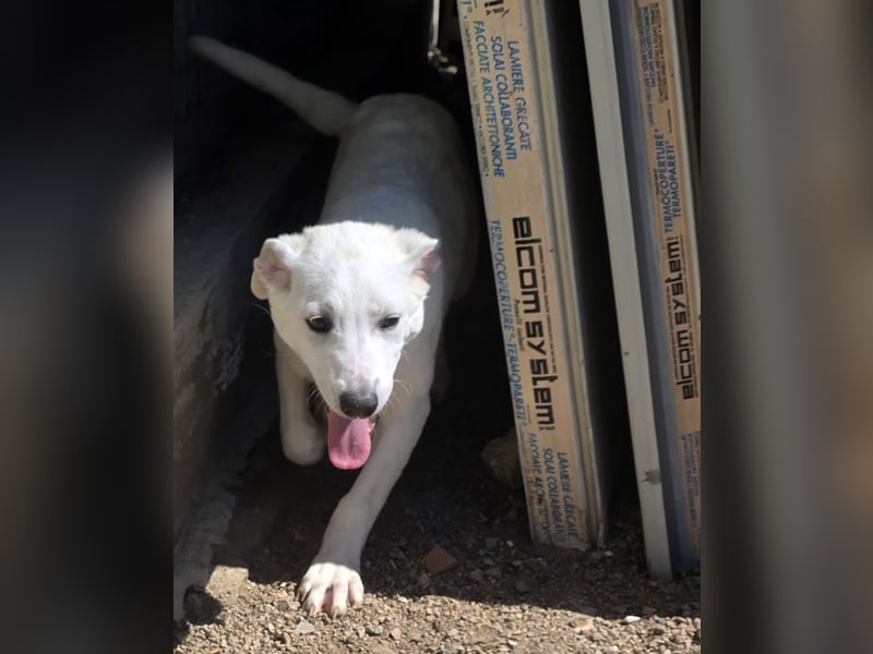 Lea: wer öffnet mir die Tür?
