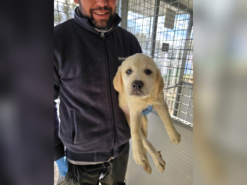 Nelson: vom Flughafen ins schöne Leben