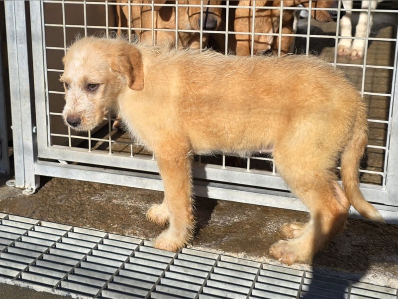 Nele und Noura: vom Flughafen ins schöne Leben